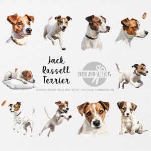 Jack Russel Terrier Clipart, Jack Russel Terrier PNG, Jack Russel Terrier illustratie, Dog Clipart, Commerciële licentie, Dog Wall Art