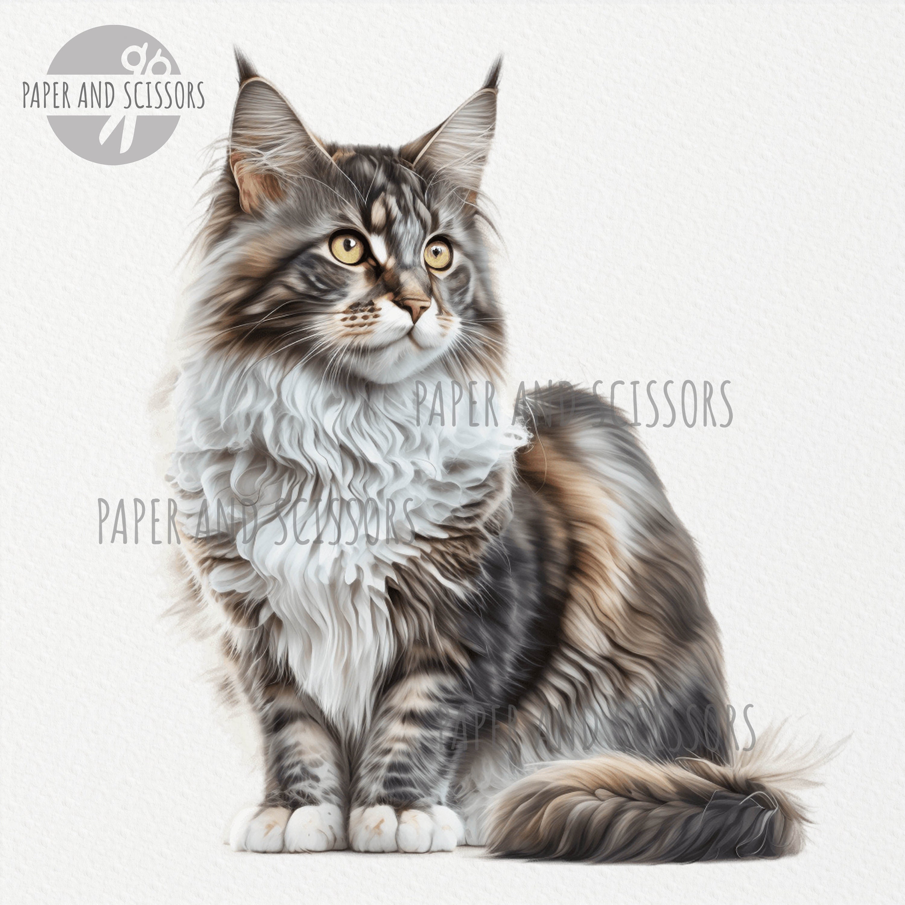 Maine Coon Cat Clipart Cat PNG Cat Illustration Cat Etsy UK