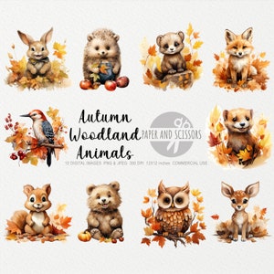 Imágenes Prediseñadas de acuarela de animales del bosque de otoño, animales de bebé PNG, decoración de otoño, imágenes prediseñadas de otoño, arte de pared de bebé, decoración de guardería, imágenes prediseñadas de decoración de bebé