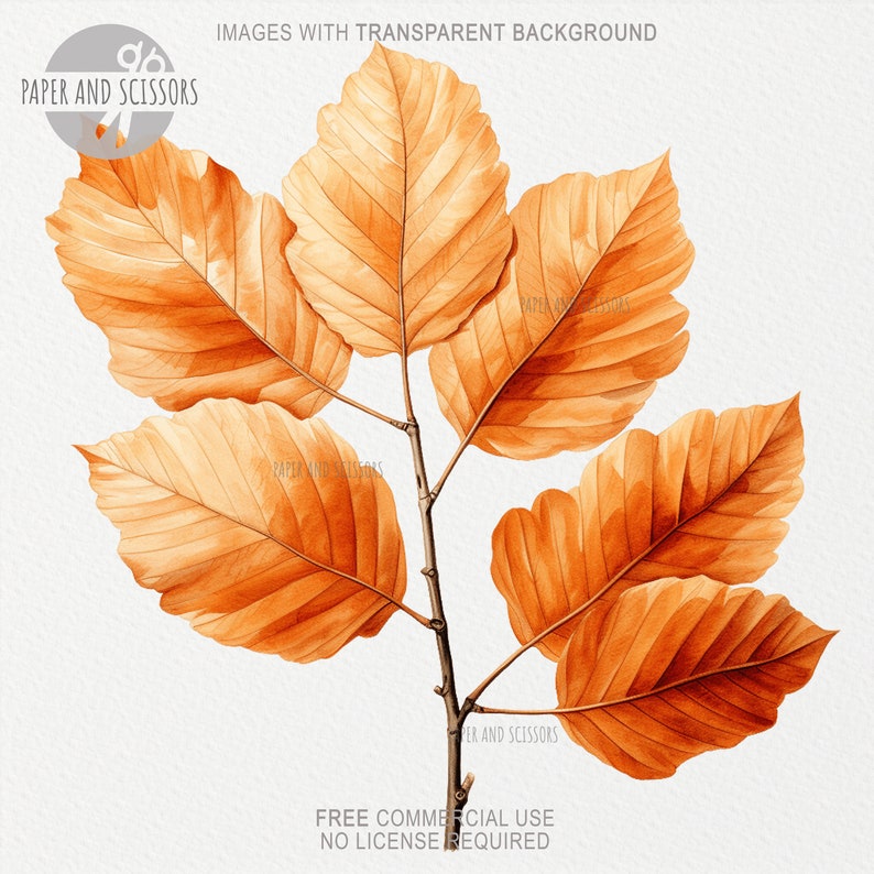 May include: A watercolor illustration of a branch with five orange leaves. The leaves have a detailed vein pattern and are arranged in a symmetrical pattern.