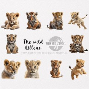 Clipart de gatos selvagens, gatinhos selvagens PNG, tigre, leopardo, ilustração de leão, clipart de gato, fundo transparente, download instantâneo, arte digital