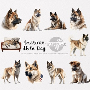 American Akita Clipart, American Akita PNG, American Akita illustratie, Hond Clipart, Hond PNG, Transparante achtergrond, Digitale kunst, Kunst aan de muur