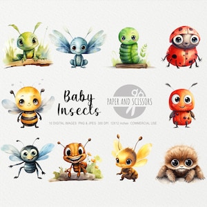 Baby Insekten Aquarell Clipart, Baby Insekten PNG, Insekten Illustration, Kinder Kunst, Kinder Wandkunst, Kinderzimmer Dekor, Baby Dusche Clipart