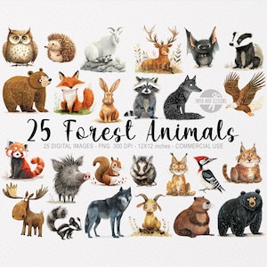 25 bosdieren ClipArts, bosrijke aquarel PNG, baby shower kunst aan de muur, decor van de kinderkamer, schattig bos, stickers, eigenzinnig, Yellowstone, wild