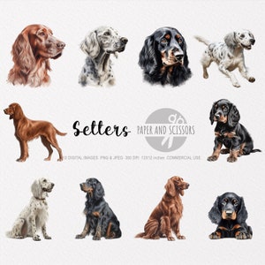 Inglese, irlandese e Gordon Setter Clipart, Setter PNG, Setter illustrazione, Cane Clipart, Cane PNG, Cane acquerello, Cane Wall Art, Amanti dei cani