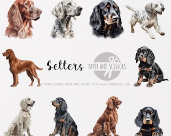 English, Irish and Gordon Setter Clipart, Setter PNG, Setter illustration, Dog Clipart, Dog PNG, Dog Watercolor, Dog Wall Art, Dog lovers