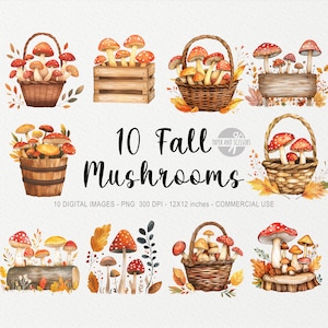 10 herfstpaddestoelen ClipArts, herfst PNG, gezellige herfstdecor illustratie, herfstoogst, mand, Cottagecore ClipArt, bladeren, Instant Download