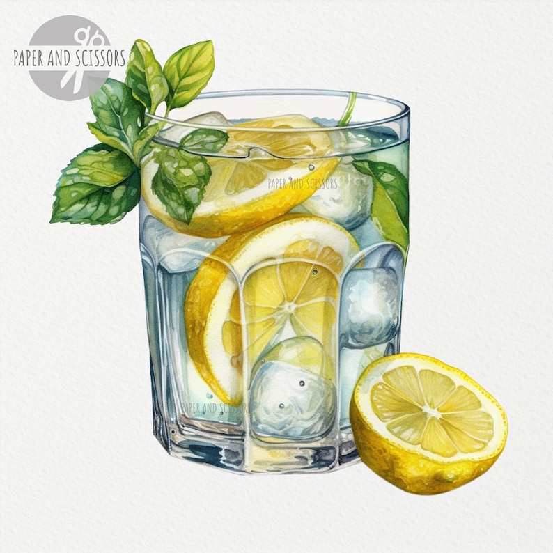 May include: A glass of lemonade with ice cubes and lemon slices, garnished with fresh mint leaves. The glass is on a white background.