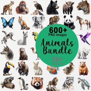 600+ dieren PNG-afbeeldingen, Animal ClipArt-bundel, aquarel dier, jungle, safari, dessert, bos, bos, school afdrukbaar, onderwijs png