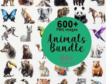 Más de 600 imágenes PNG de animales, paquete de imágenes prediseñadas de animales, animales de acuarela, jungla, safari, postre, bosque, selva, imprimible escolar, PNG educativo