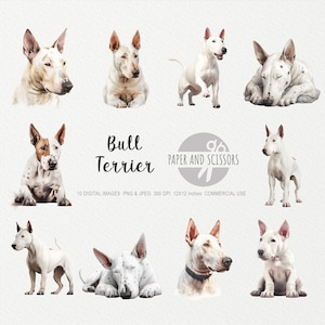 Bull Terrier Clipart, Bull Terrier PNG, Terrier illustration, Dog Clipart, Dog PNG, Dog Watercolor, Dog Wall Art, Dog lover, Dog painting