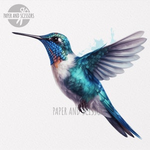 May include: A blue and green hummingbird with a white chest and a long, thin beak. The hummingbird is in flight with its wings spread out.