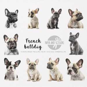 Clipart de buldogue francês, PNG de buldogue francês, ilustração de buldogue francês, clipart de cachorro, fundo transparente, download instantâneo, arte digital