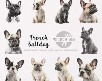 French Bulldog Clipart, French Bulldog PNG, French Bulldog illustration, Dog Clipart, Transparent background, Instant download, Digital art