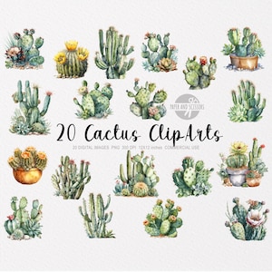 20 Cactus ClipArt, Cactus PNG, Ilustración de cactus, Cactus acuarela, PNG floral, ClipArt de flores, Flores PNG, Suculento, Flor del desierto