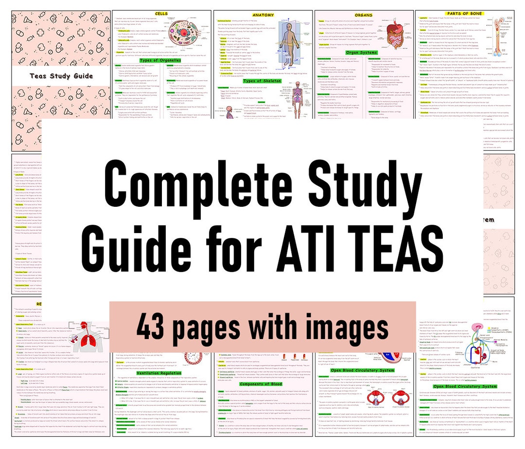 The Complete ATI TEAS 7 Study Guide - Etsy the-complete-ati-teas-7-study-guide-etsy