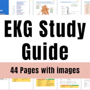 EKG Study Guide: Nursing School EKG Interpretations (44 Pages)