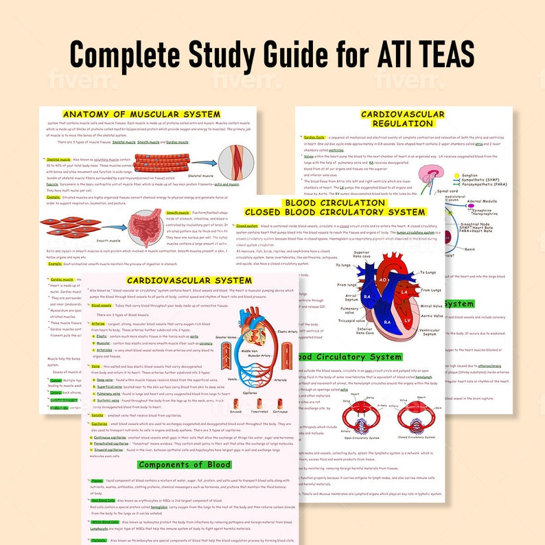 The Complete ATI TEAS 7 Study Guide - Etsy