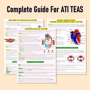Ati Teas Study Guide - Etsy