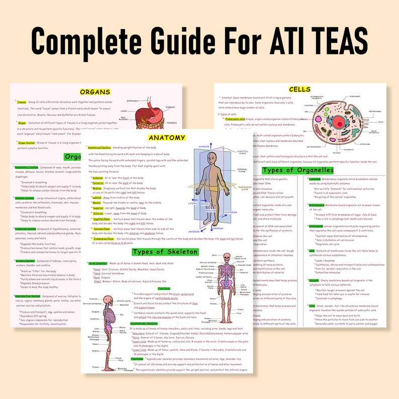 The Complete ATI TEAS 7 Study Guide - Etsy