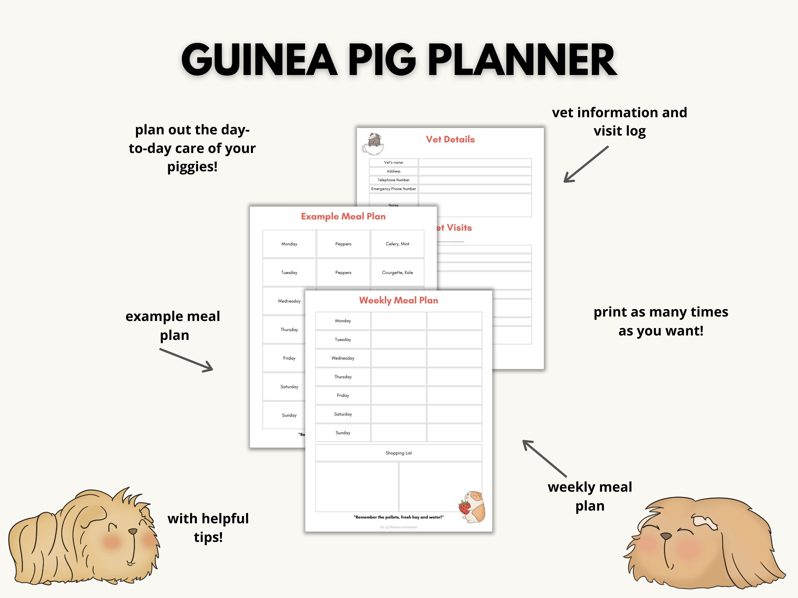 Picture of Guinea Pig Planner Printable, Guinea Pig Pet Sitting Insert, Pet Health ...