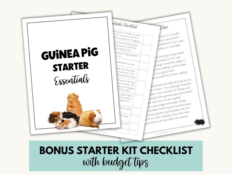 Guinea Pig Printable Safe Food List, Guinea Pig Feeding Download, Food ...
