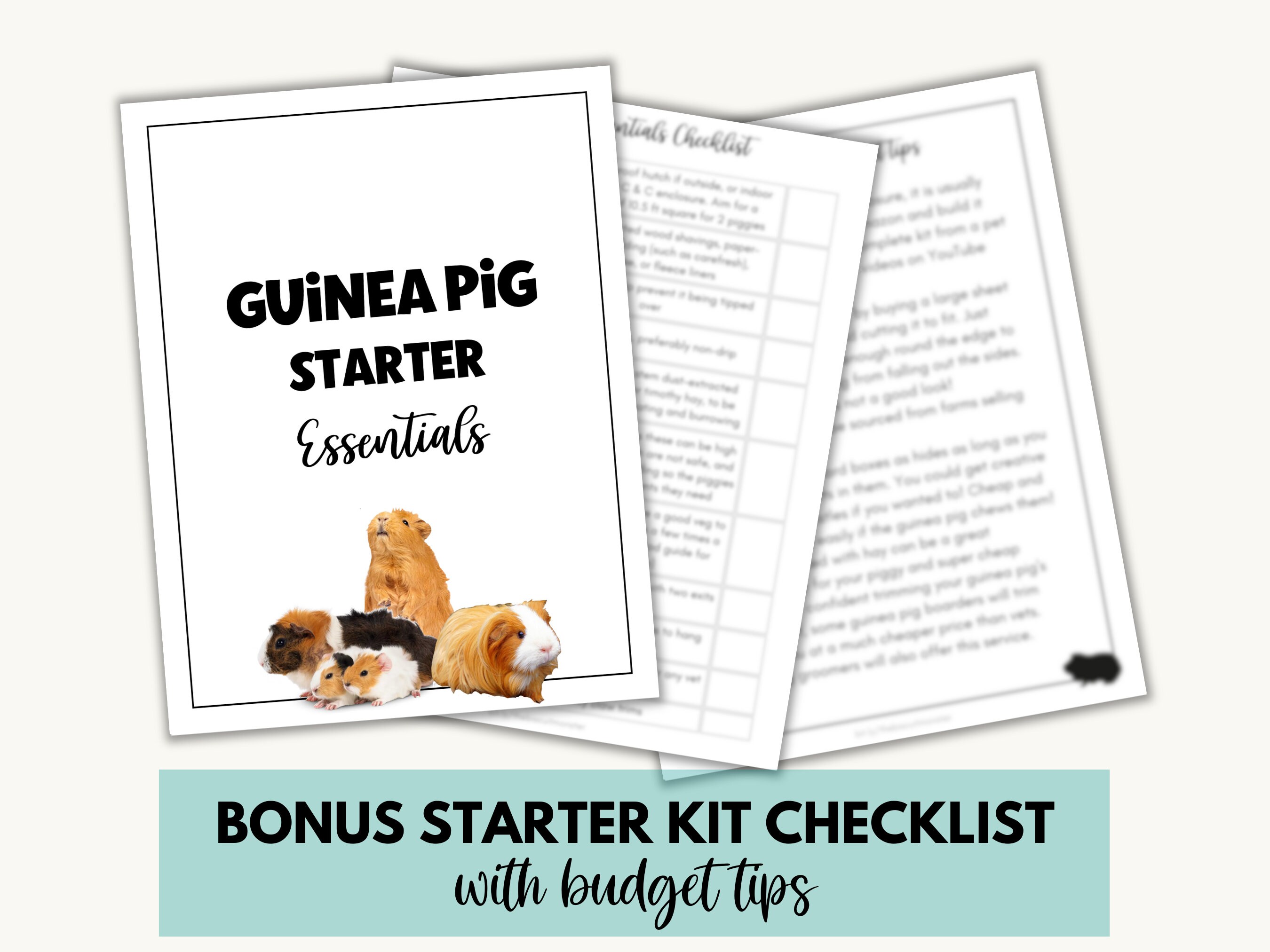 Guinea Pig Printable Safe Food List, Guinea Pig Feeding Download, Food for Guinea Pigs, Safe