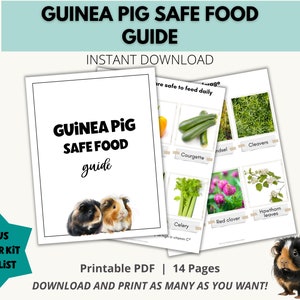 Könnte beinhalten: Ein druckbarer PDF-Leitfaden mit einer Checkliste für Meerschweinchenbesitzer. Der Leitfaden enthält eine Liste von sicheren Lebensmitteln für Meerschweinchen, darunter Gemüse, Kräuter und Blumen. Der Leitfaden enthält auch Bilder von Meerschweinchen.