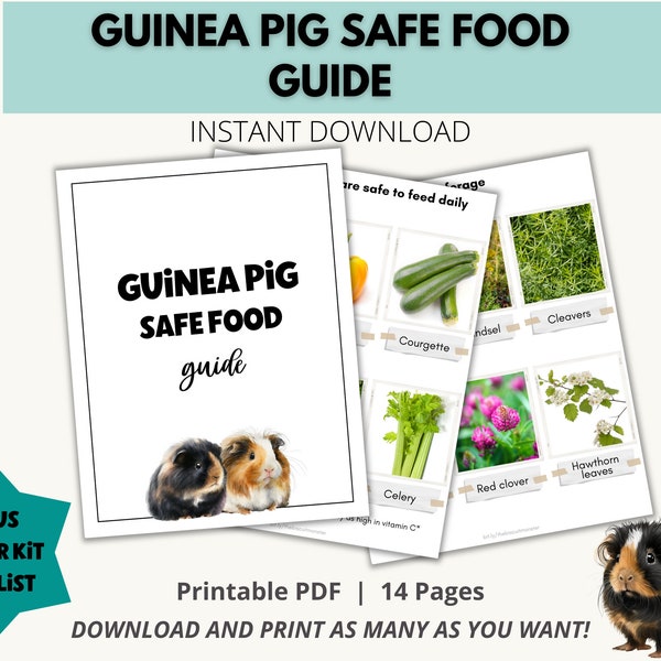 Guinea Pig Printable Safe Food List, Guinea Pig Feeding Download, Food For Guinea Pigs, Safe Guinea Pig Food For Beginners