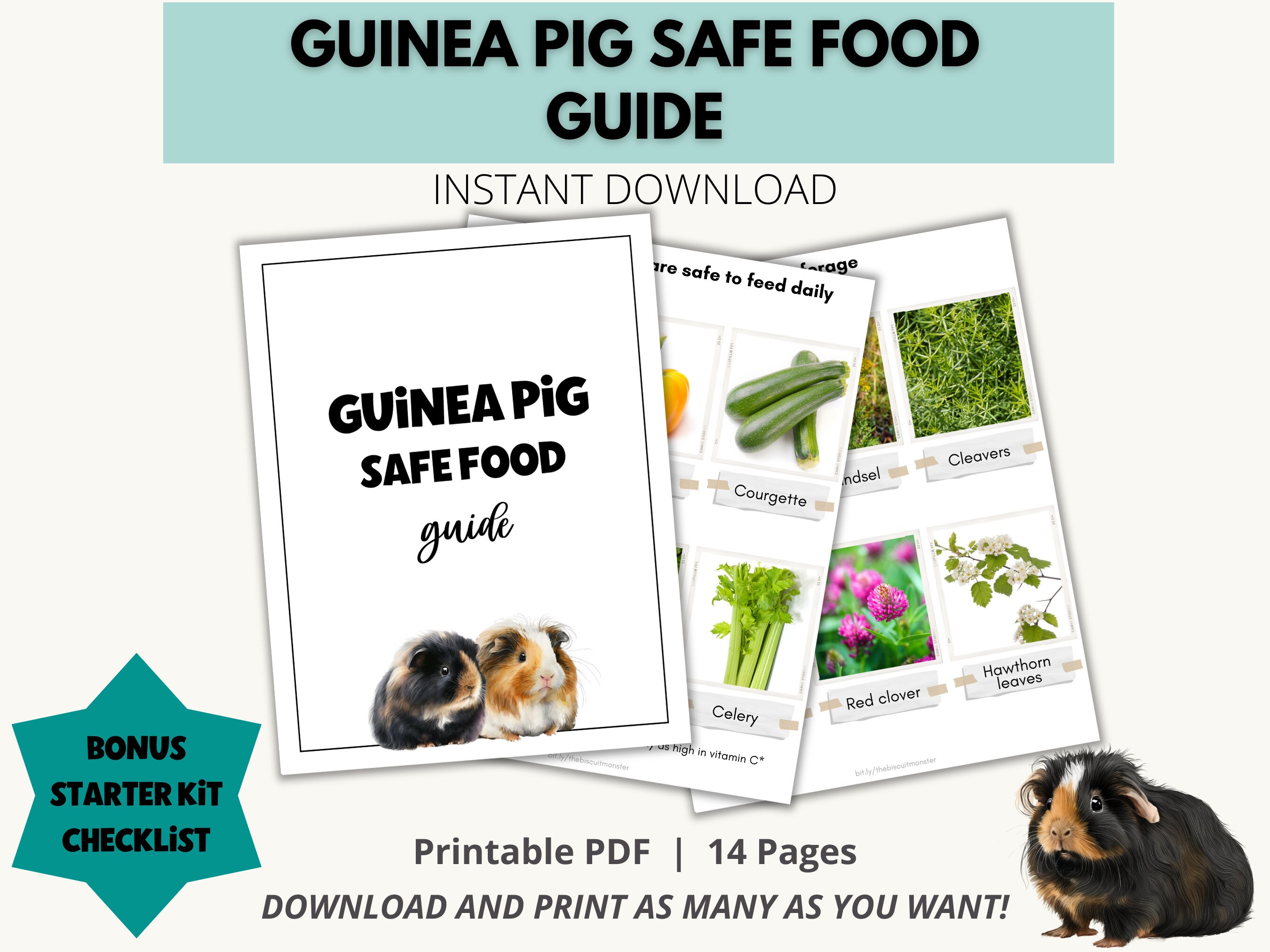 Guinea Pig Printable Safe Food List Guinea Pig Feeding Download Food For Guinea Pigs Safe