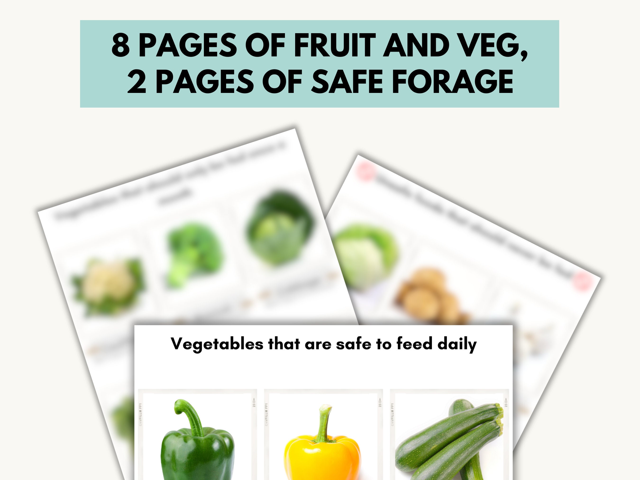 Guinea Pig Printable Safe Food List, Guinea Pig Feeding Download, Food