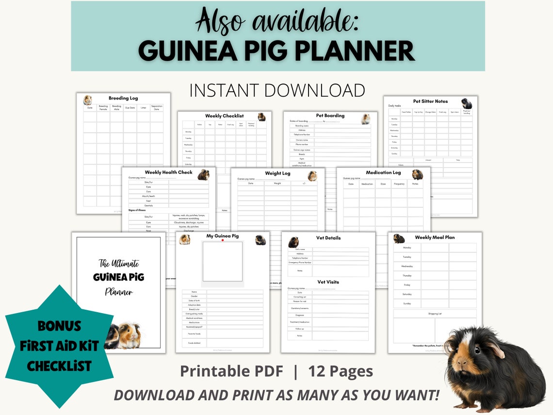 Guinea Pig Printable Safe Food List, Guinea Pig Feeding Download, Food ...