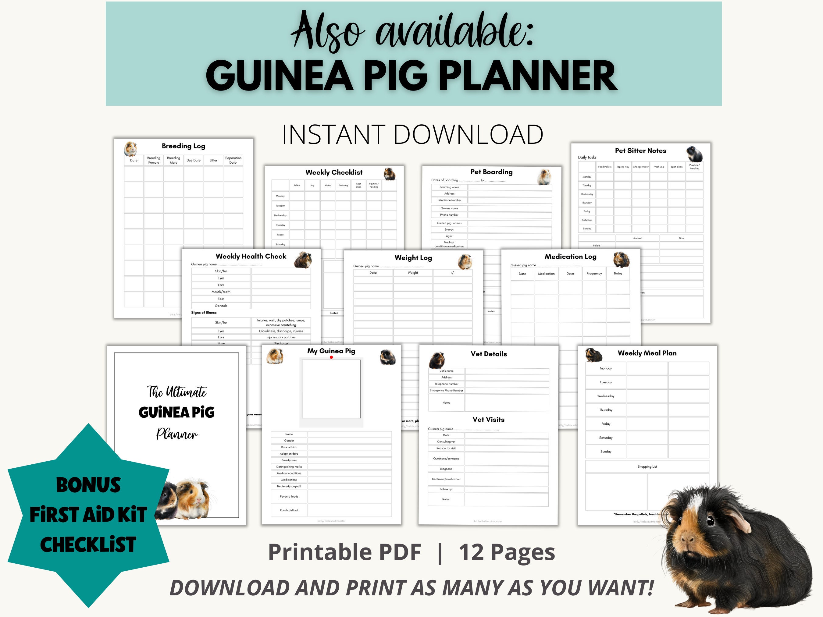 Guinea Pig Printable Safe Food List, Guinea Pig Feeding Download, Food ...