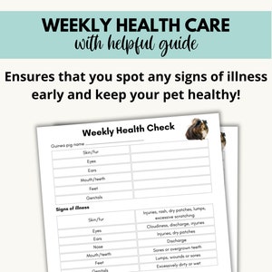 Curated visual reference: Gallery Detail: Guinea Pig Planner Printable Guinea Pig Pet Sitting Insert Pet