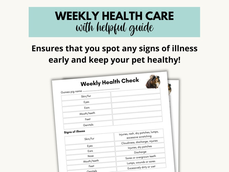 Photo inspiration: Curated Piglet Snake Care Schedule Template Printable Gallery View
