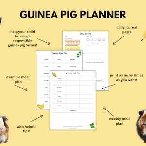 Snapshot of Guinea Pig Kid S Meal Planning