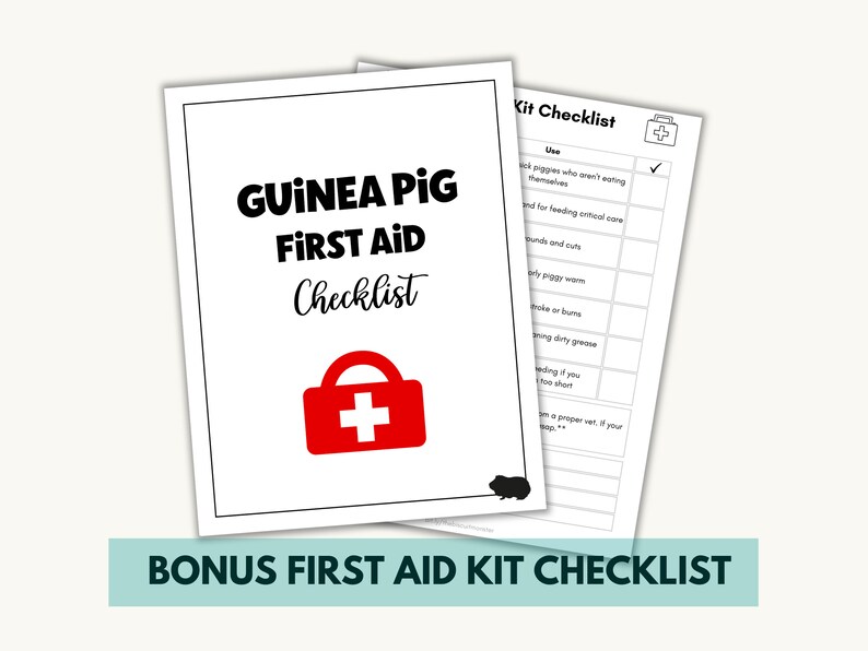 Curated Piglet Snake Care Schedule Template Printable Gallery View 41