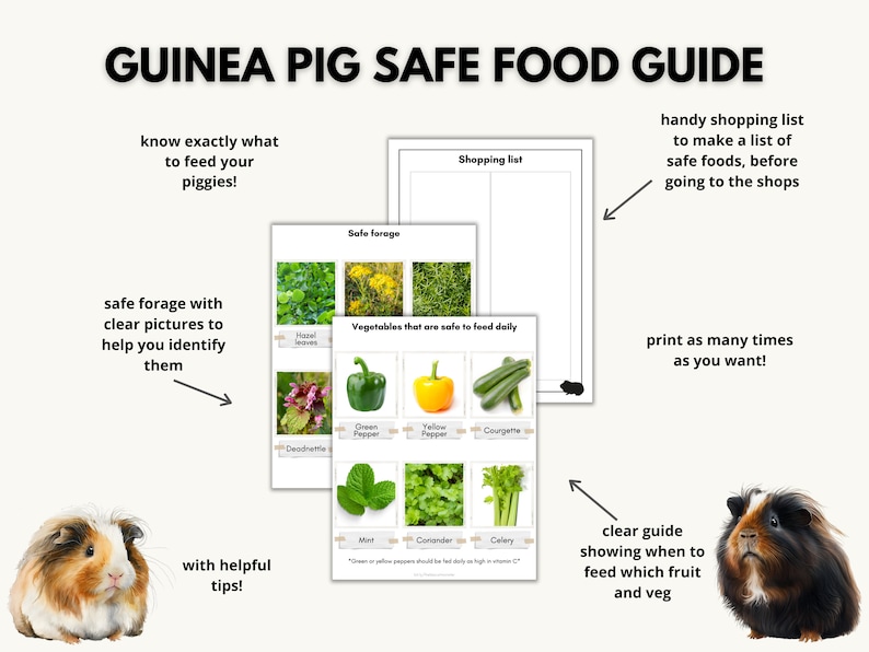 Guinea Pig Printable Safe Food List, Guinea Pig Feeding Download, Food for Guinea Pigs, Safe