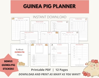 Curated visual reference: Young Guinea Pig Feeding Schedule Reference: Guinea Pig Planner Printable Guinea Pig Pet Sitting Insert Pet
