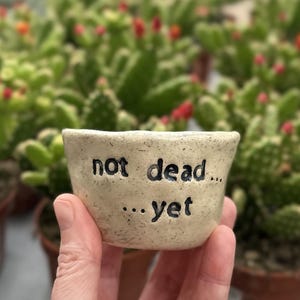 Maceta de cerámica para suculentas con diseño "Not Dead Yet". Maceta de gres para plantas verdes con mensaje humorístico. Maceta de cerámica para plantas de interior.