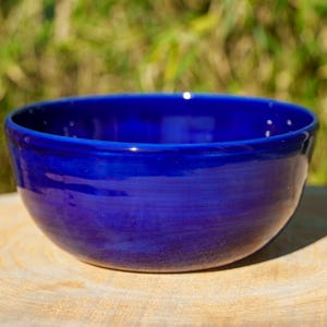 Può includere: Una ciotola in ceramica blu intenso con finitura lucida. La ciotola rotonda ha un bordo leggermente svasato ed è appoggiata su una superficie di legno marrone chiaro. Lo sfondo è verde sfocato.