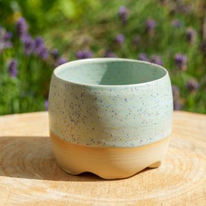 Può includere: Una tazza in ceramica dalla forma arrotondata, caratterizzata da una sezione superiore liscia color verde menta chiaro punteggiata da minuscoli puntini blu e arancioni, e una base beige non smaltata con bordo inferiore smerlato per liquidi.