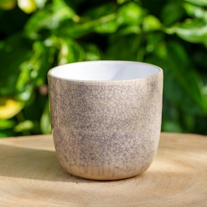 Peut inclure: Une tasse en céramique beige avec un motif de glaçure craquelée. La tasse a un intérieur blanc et repose sur une surface en bois. L'arrière-plan est une vue floue de feuillage vert.