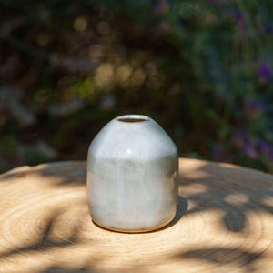 Puede incluir: Un pequeño jarrón de cerámica azul claro con forma redondeada. El jarrón está sobre una superficie de madera.