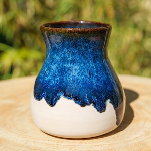 Può includere: Un vaso in ceramica con una base ampia e arrotondata che si restringe verso un collo stretto. La parte superiore presenta uno smalto blu profondo e lucido con un effetto a goccia, mentre la parte inferiore rimane di un bianco sporco opaco.