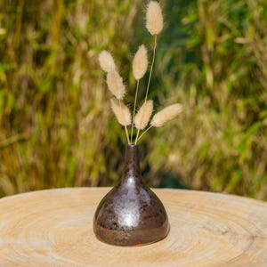 Puede incluir: Un pequeño jarrón de cerámica marrón oscuro con un acabado brillante, que contiene varios tallos de hierba de cola de conejo beige secos y esponjosos. El jarrón está sobre una superficie de madera marrón claro, con un fondo verde borroso.