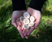 Avis 5 étoiles L2Ceramique par Clementine