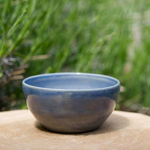 May include: A blue ceramic bowl with a rounded shape. The bowl has a smooth, glazed finish and a darker blue rim. The bowl is on a wooden surface, with a blurred green background of foliage. The bowl is likely around 15 cm in diameter.