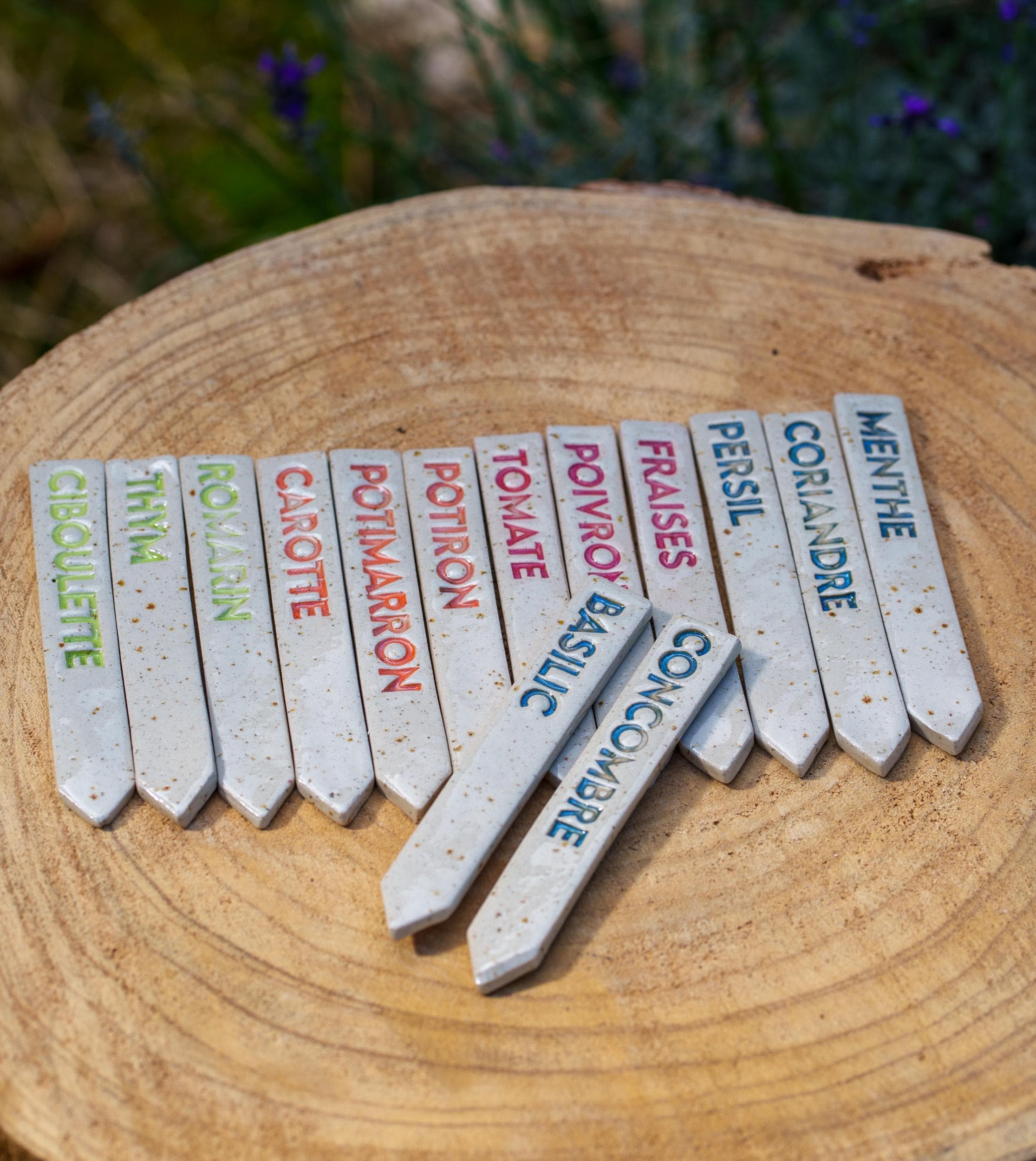 Étiquettes De Jardin En Plastique - Lot De 300 Avec 2 Marqueurs, 10x2 Cm, Pour Légumes, Herbes Et Fleurs - 3
