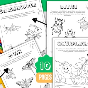 Desenhos para colorir de insetos e bichinhos para crianças, atividade educativa sobre a natureza, diversão científica para imprimir, PDF educativo, artesanato sem telas, brincadeira de primavera
